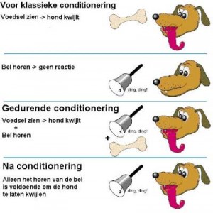 Klassiek conditioneren – PuppyStar